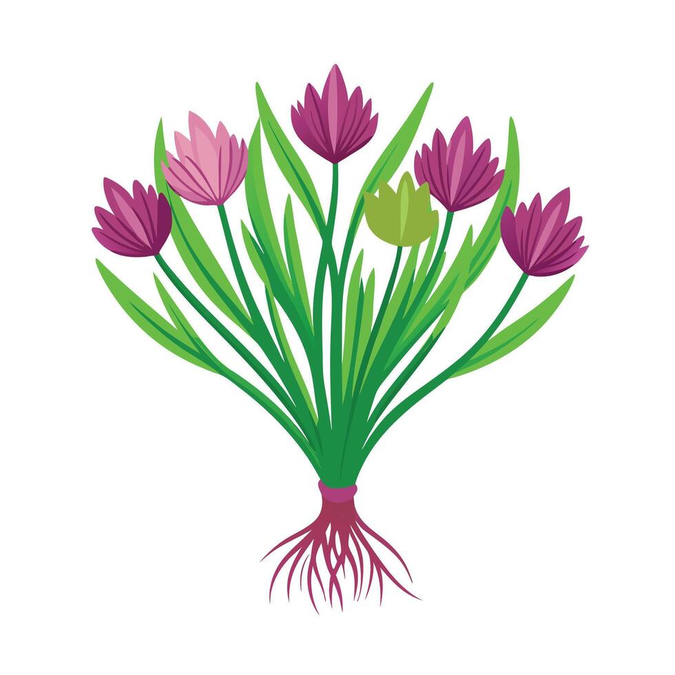 Realistic Beautiful Herbs Illustration vector