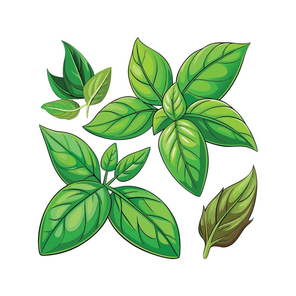 Realistic Beautiful Herbs Illustration vector
