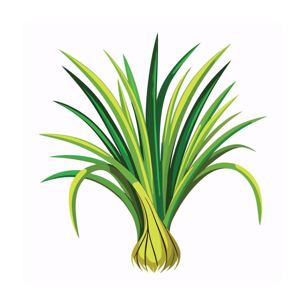 Realistic Beautiful Herbs Illustration vector