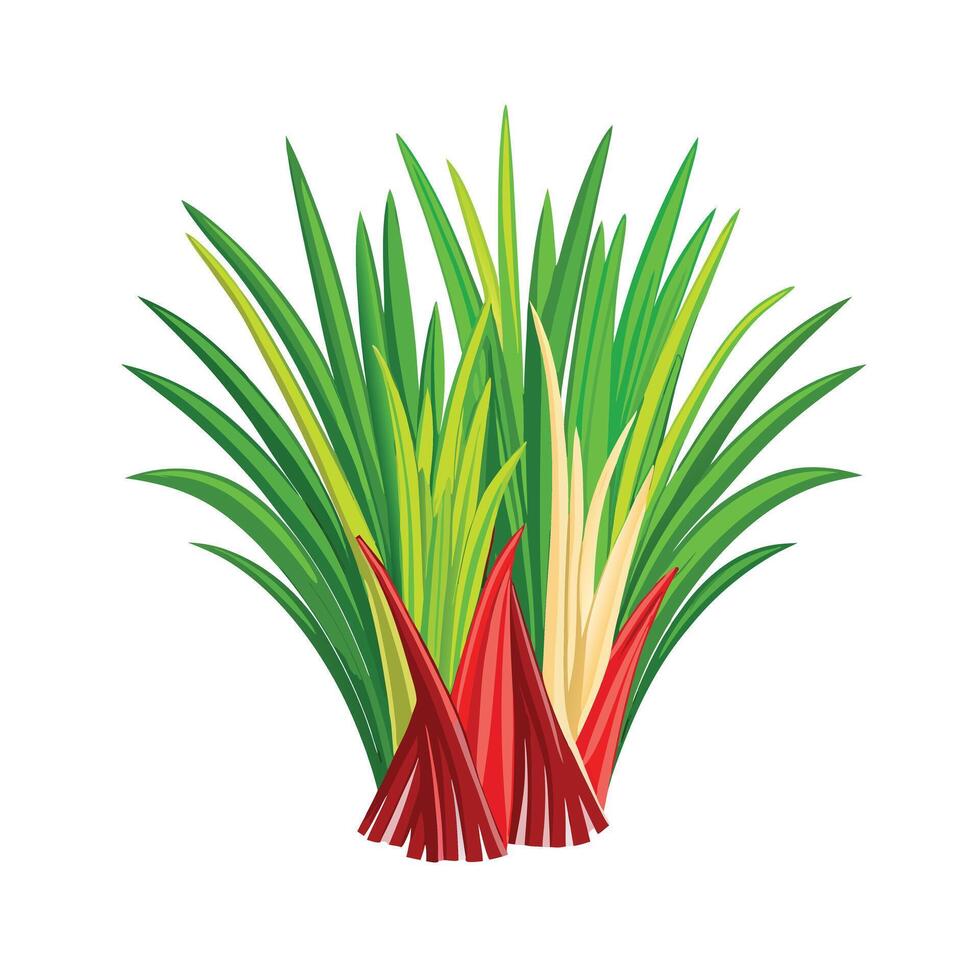 Realistic Beautiful Herbs Illustration vector