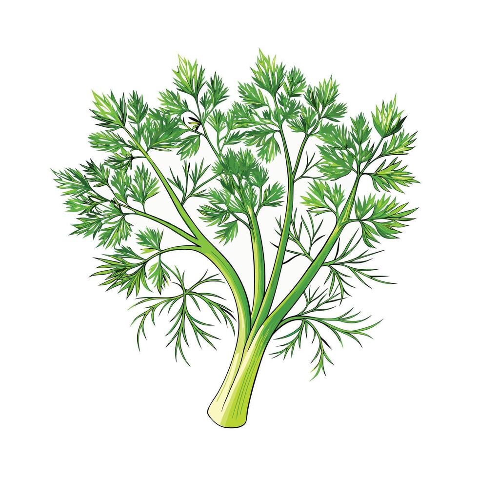 Realistic Beautiful Herbs Illustration vector