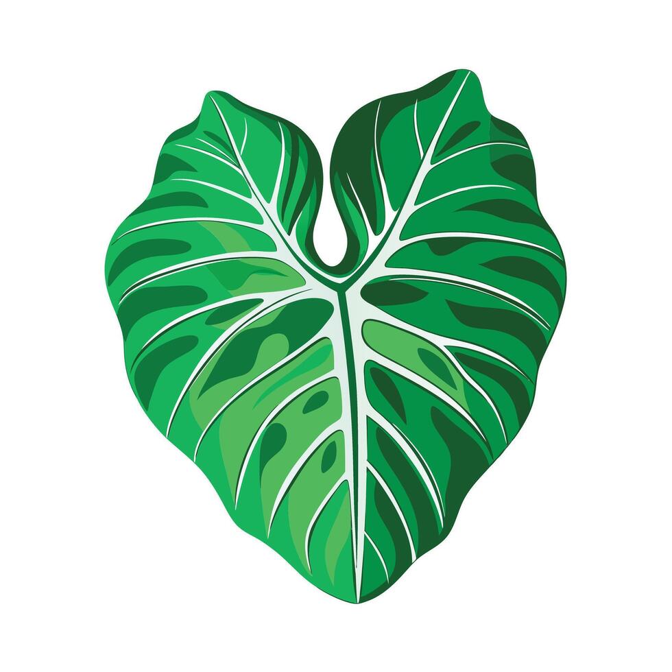 Realistic Beautiful Leaves Illustration vector