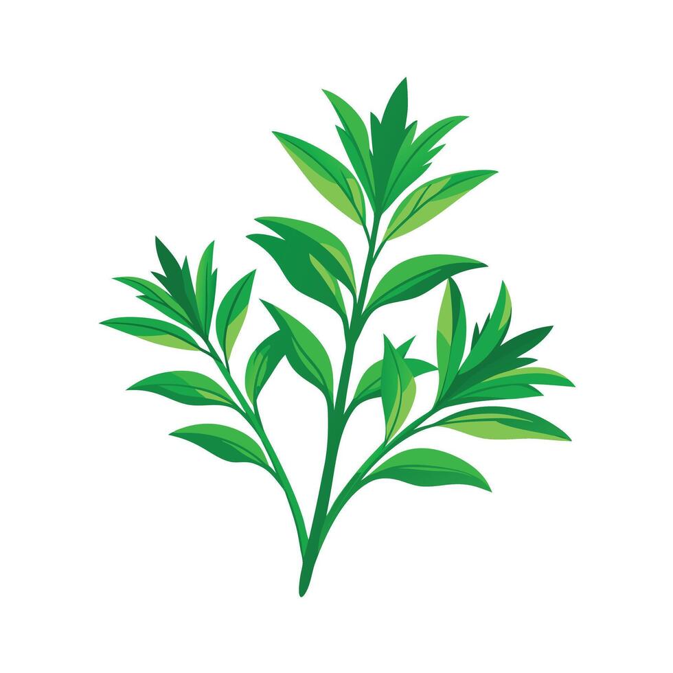 Realistic Beautiful Herbs Illustration vector
