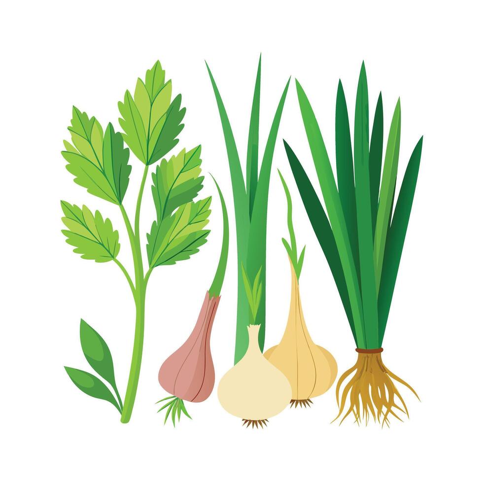 Realistic Beautiful Herbs Illustration vector