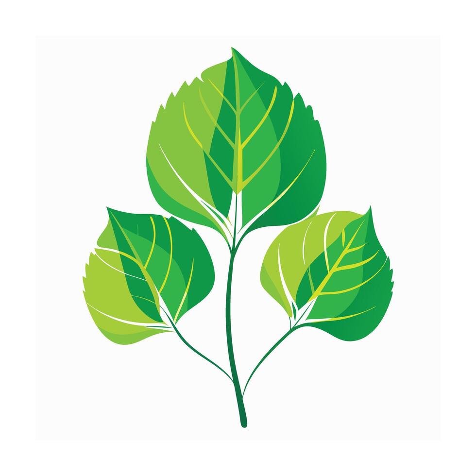 Realistic Beautiful Leaves Illustration vector