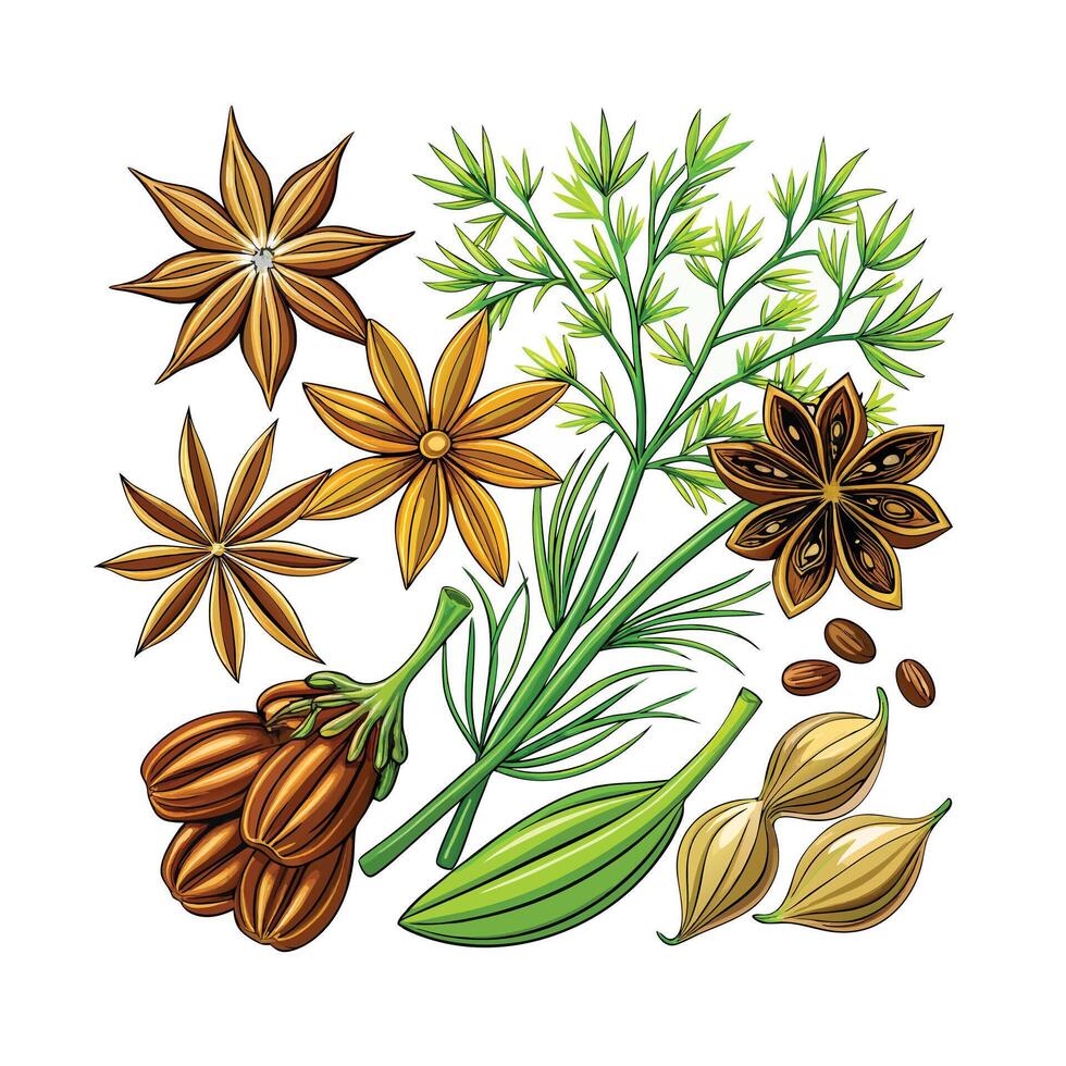 Realistic Beautiful Herbs Illustration vector