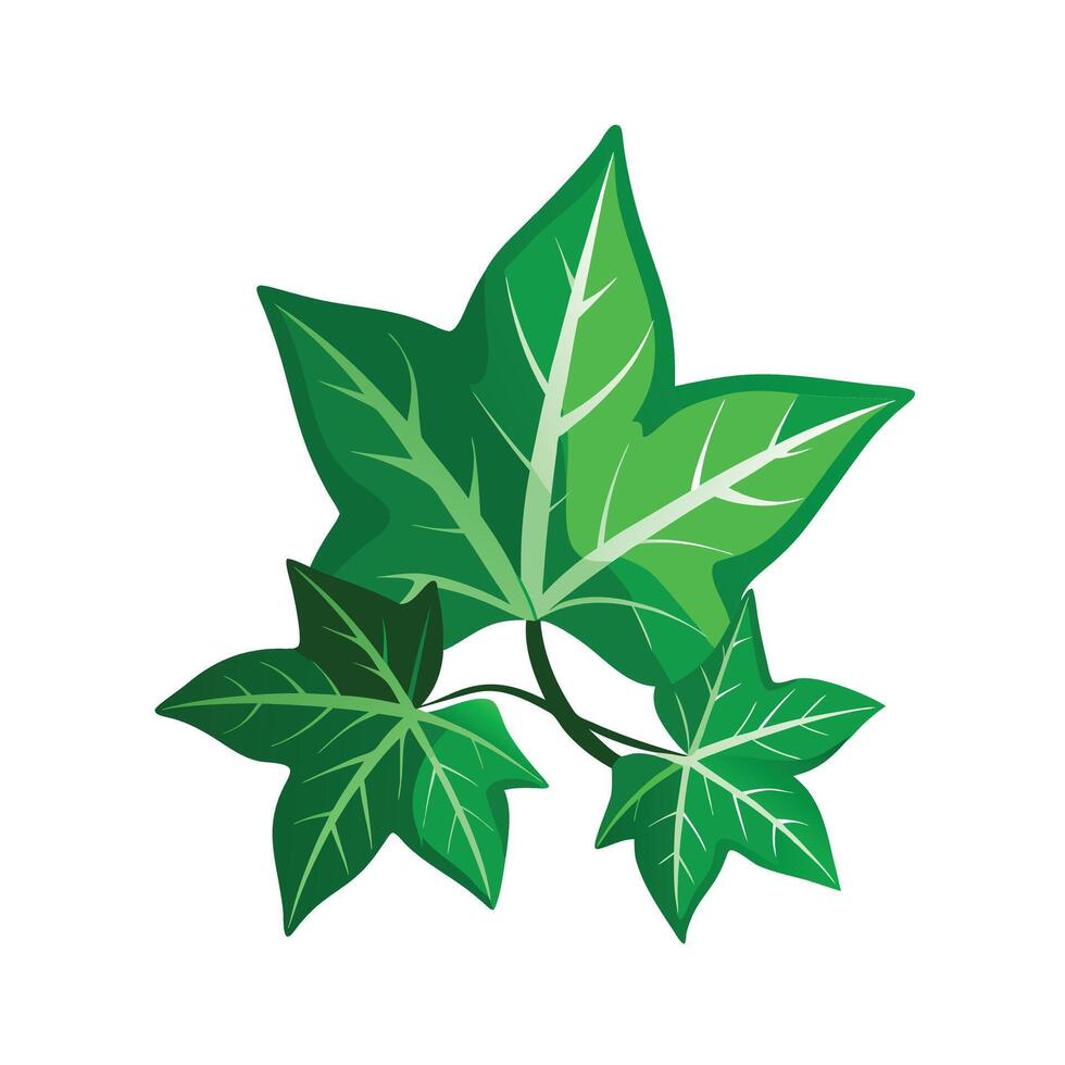 Realistic Beautiful Leaves Illustration vector
