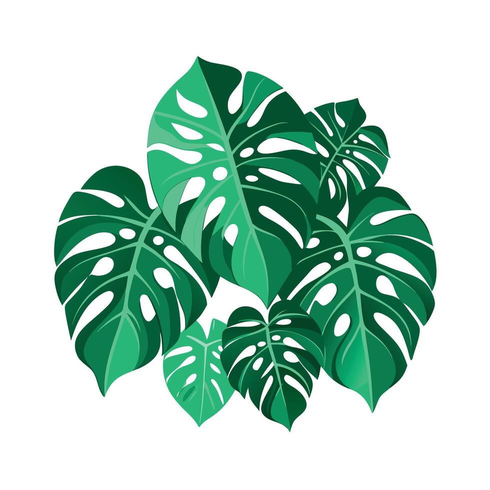 Realistic Beautiful Leaves Illustration vector