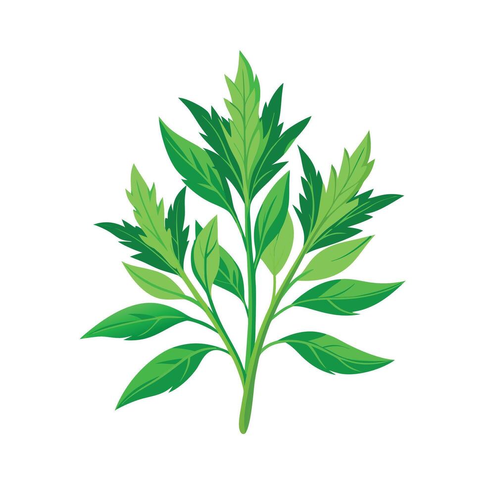 Realistic Beautiful Herbs Illustration vector