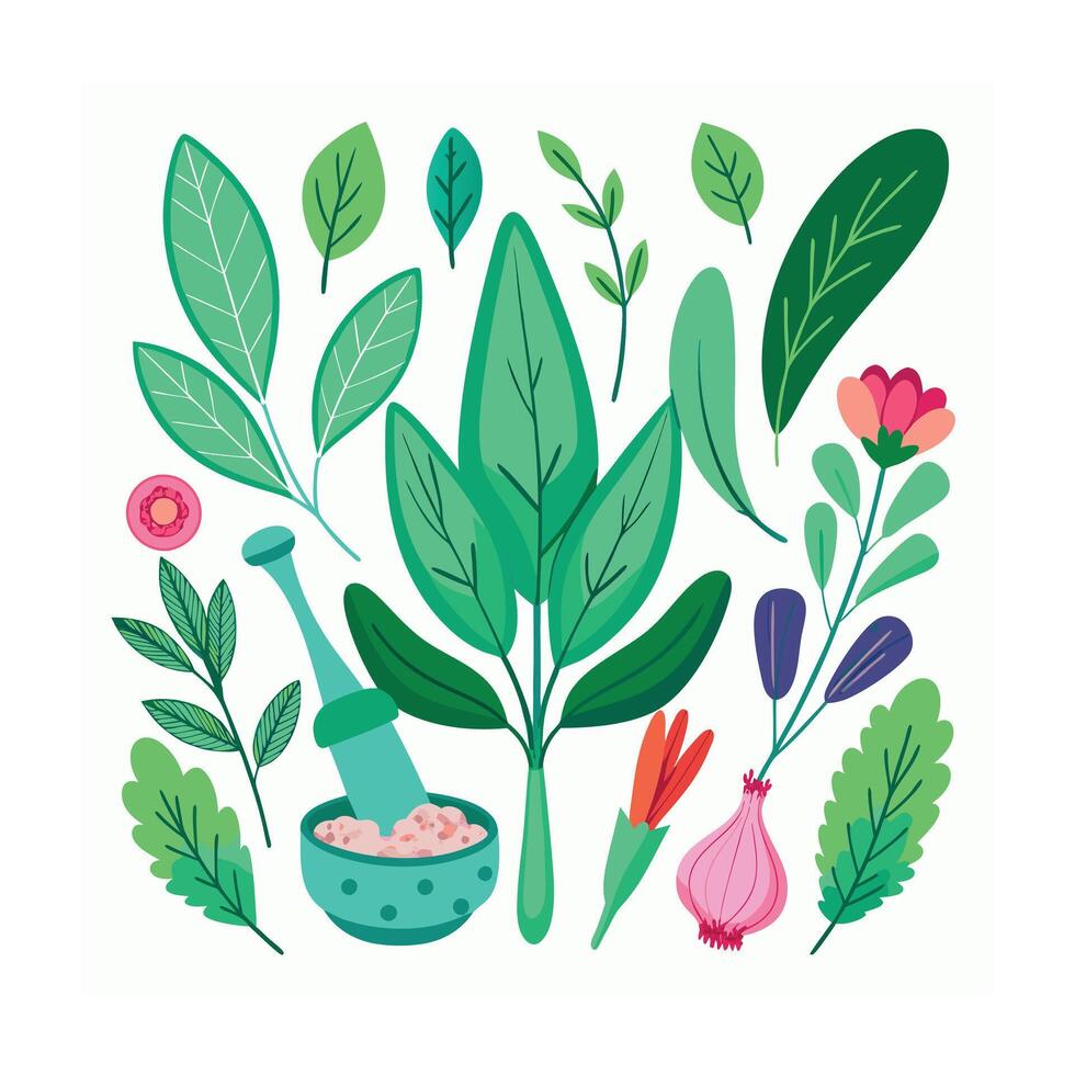Realistic Beautiful Herbs Illustration vector