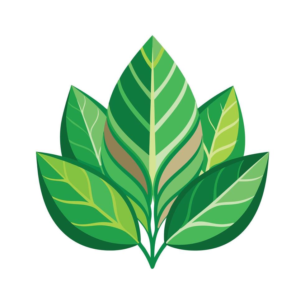 Realistic Beautiful Leaves Illustration vector