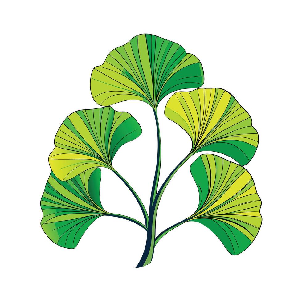 Realistic Beautiful Leaves Illustration vector