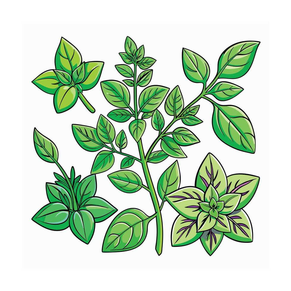 Realistic Beautiful Herbs Illustration vector