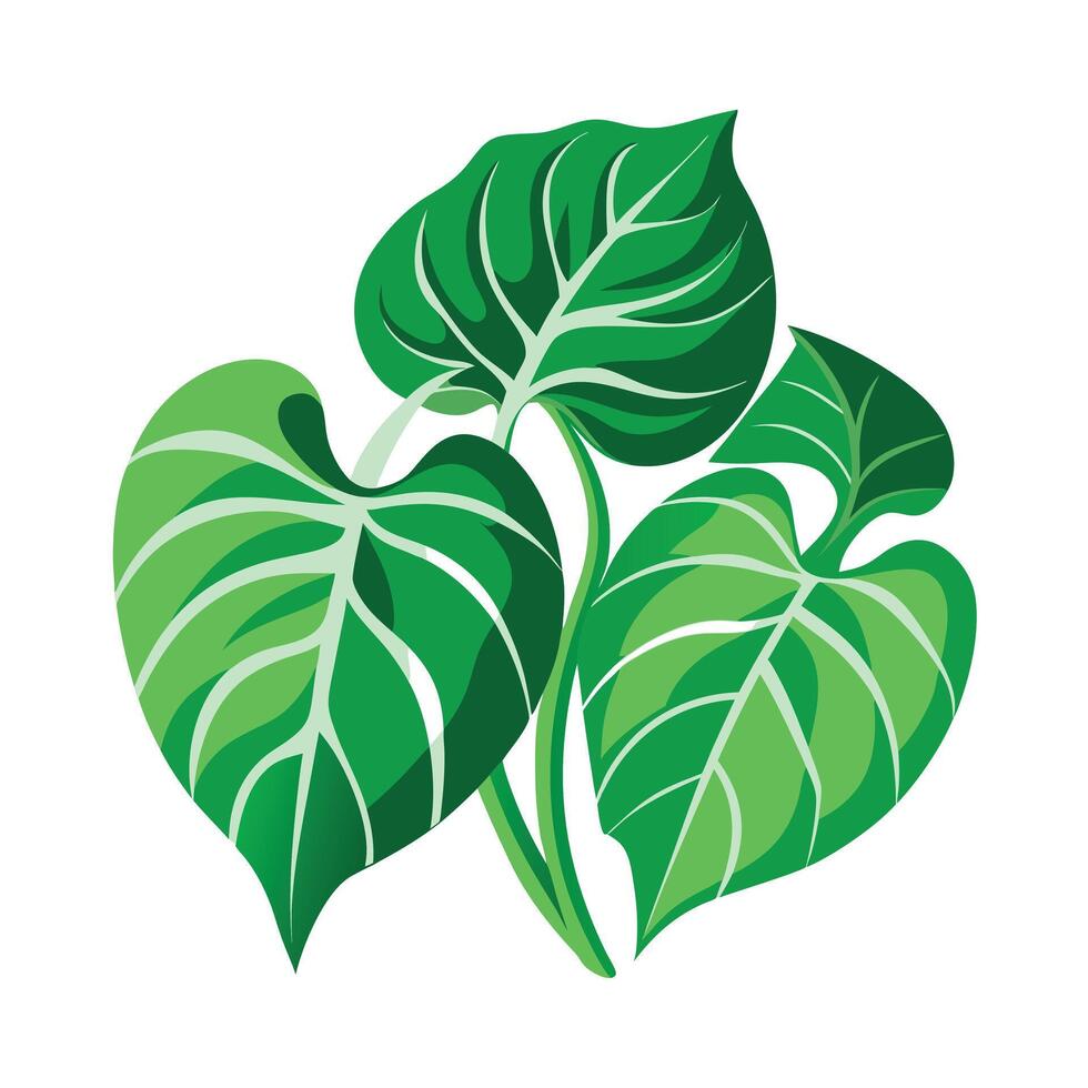 Realistic Beautiful Leaves Illustration vector