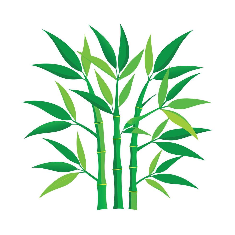 Realistic Beautiful Leaves Illustration vector