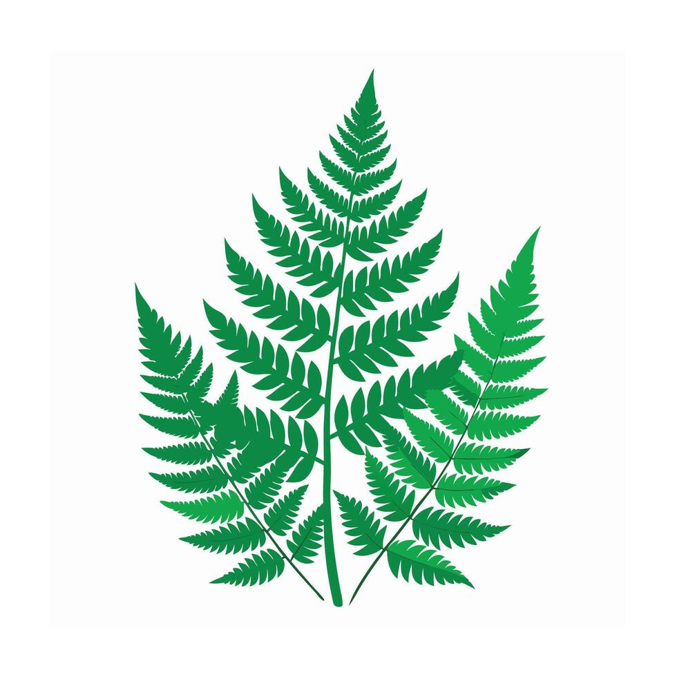 Realistic Beautiful Leaves Illustration vector