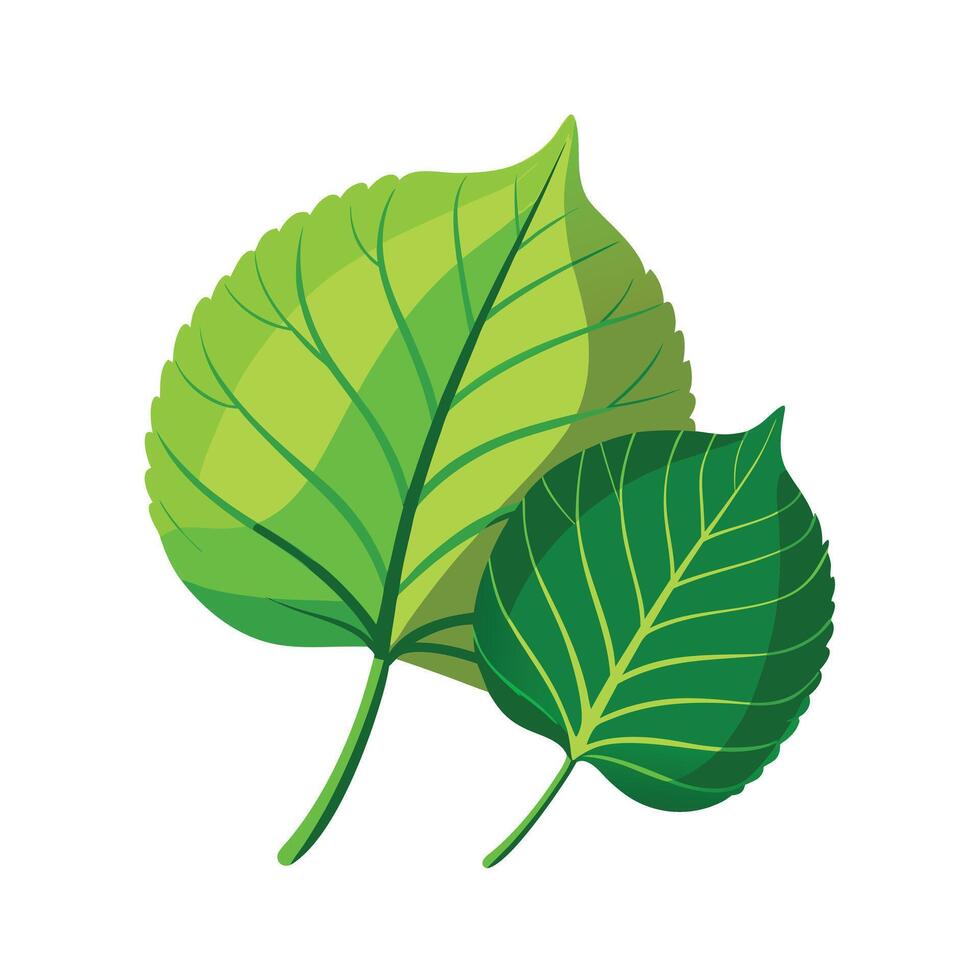 Realistic Beautiful Leaves Illustration vector