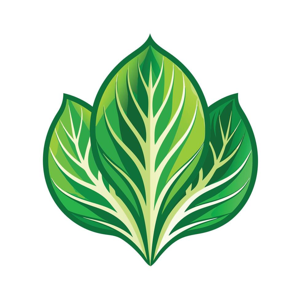 Realistic Beautiful Leaves Illustration vector