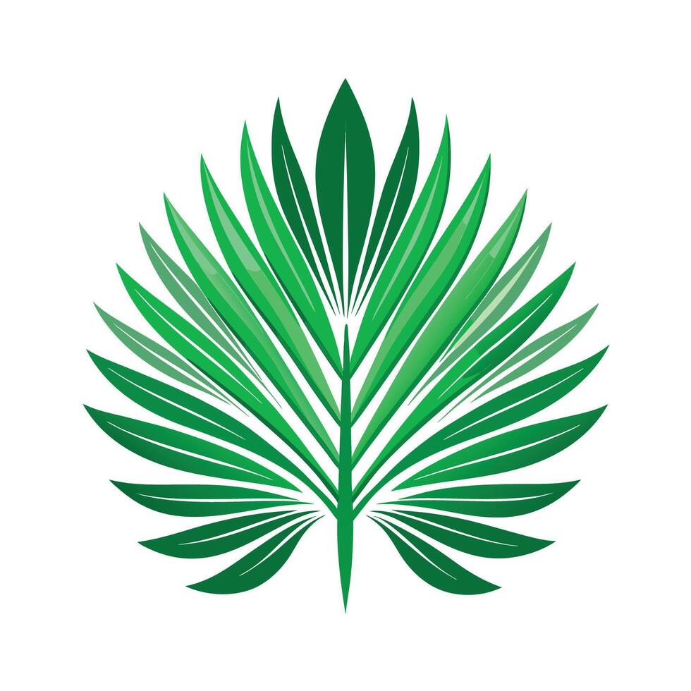 Realistic Beautiful Leaves Illustration vector