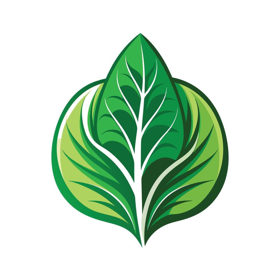 Realistic Beautiful Leaves Illustration vector