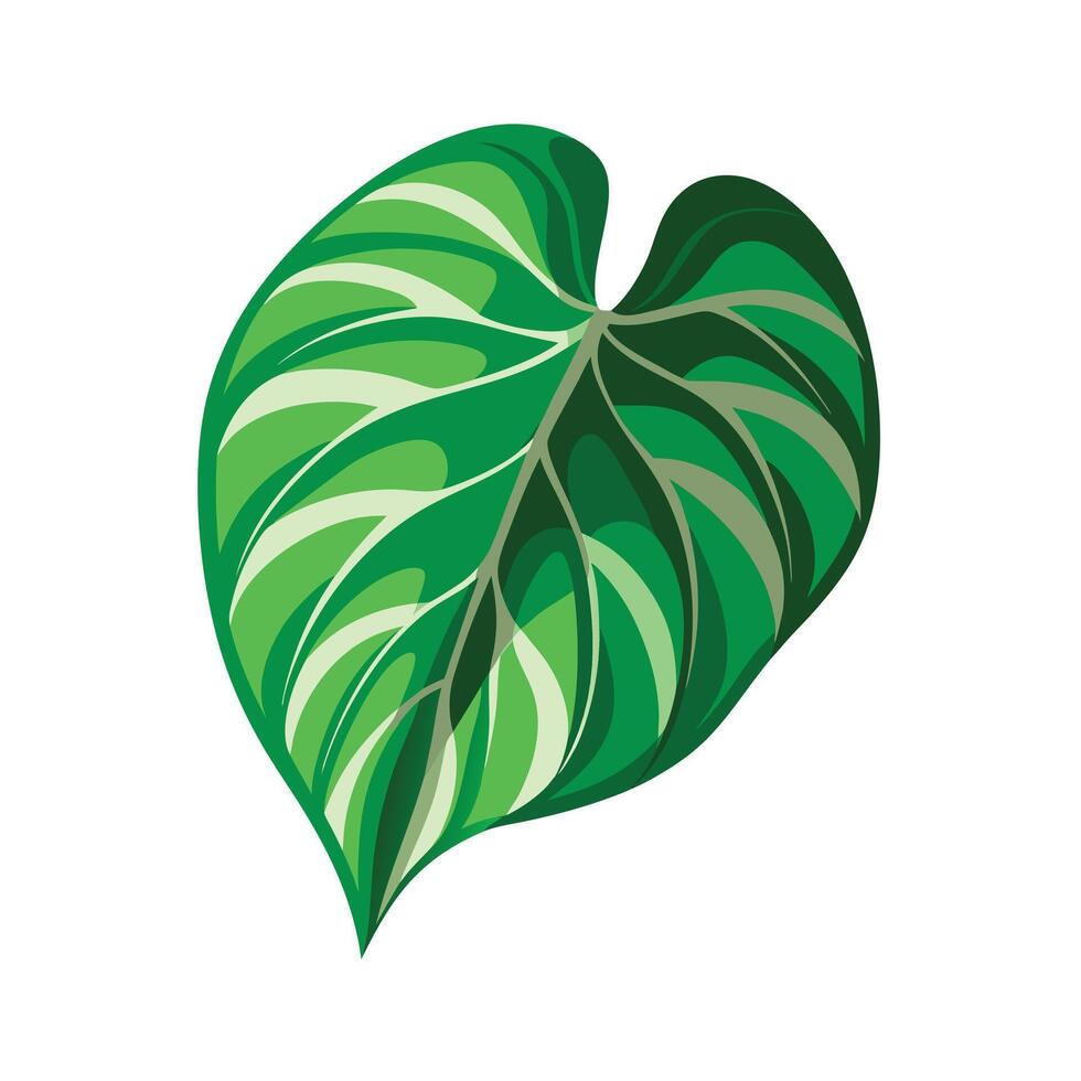 Realistic Beautiful Leaves Illustration vector