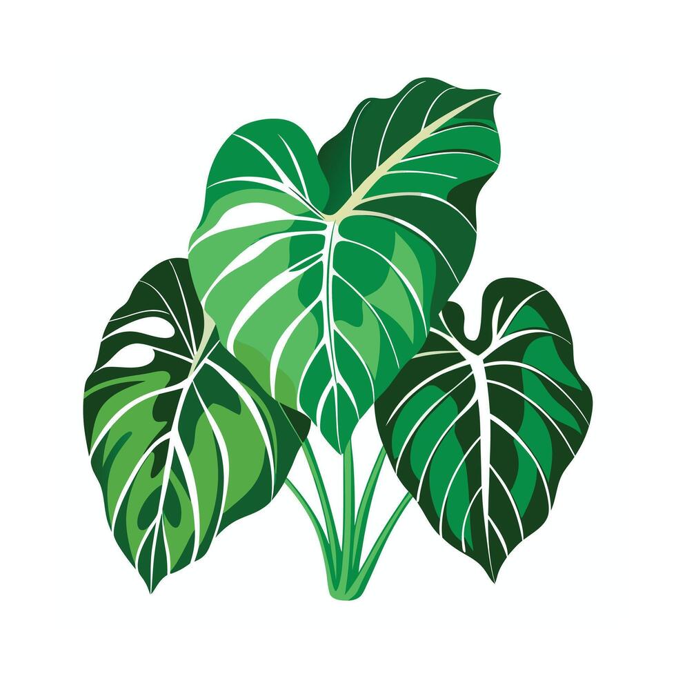 Realistic Beautiful Leaves Illustration vector