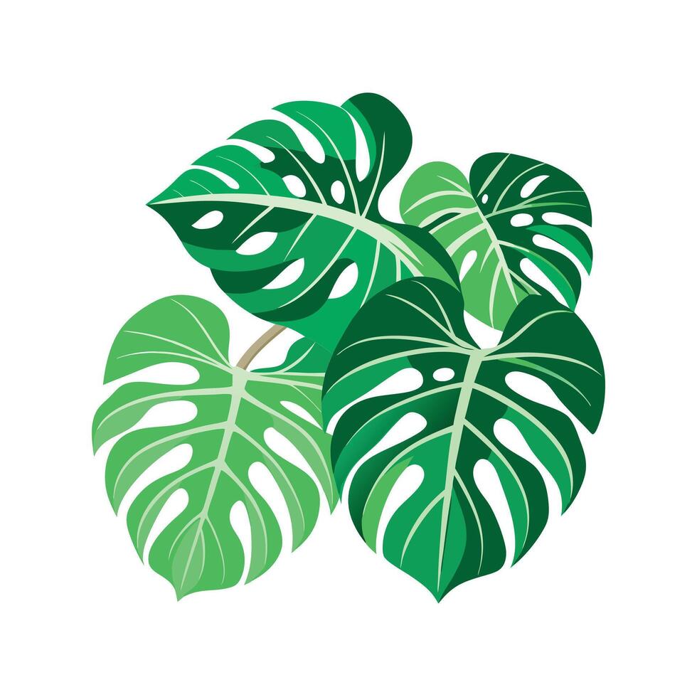Realistic Beautiful Leaves Illustration vector