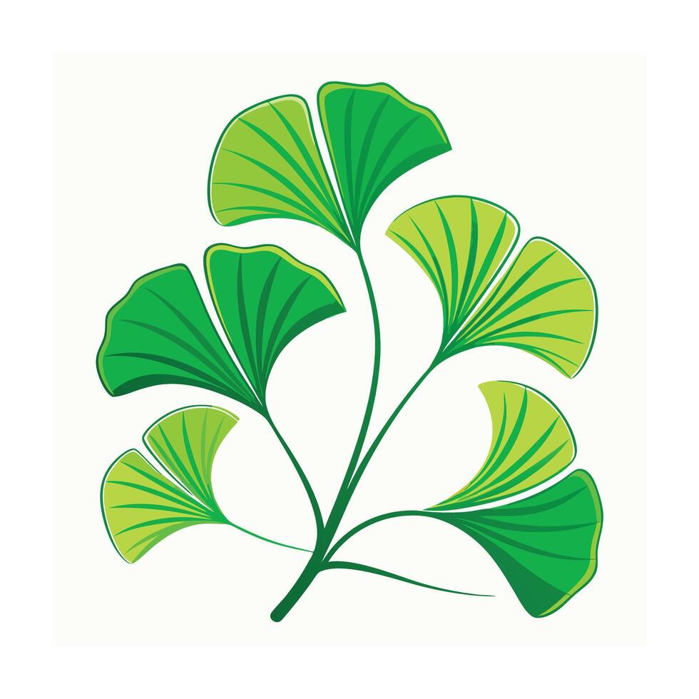 Realistic Beautiful Leaves Illustration vector