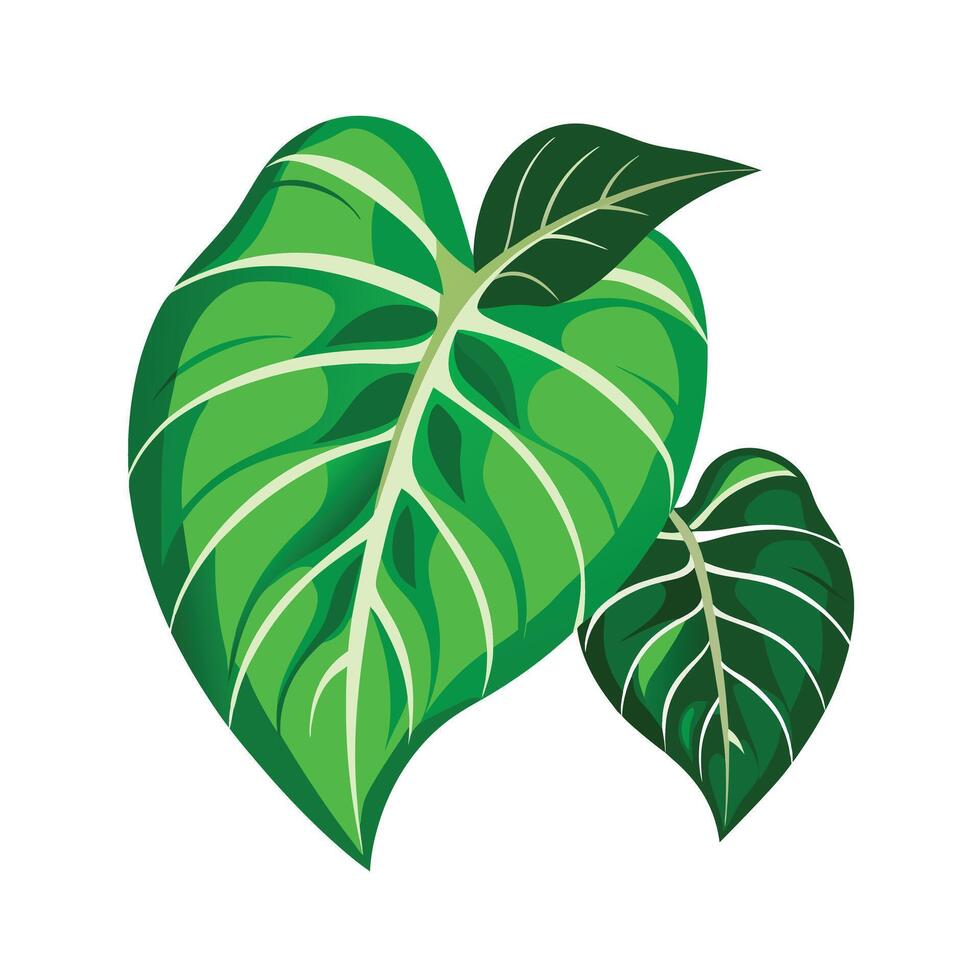 Realistic Beautiful Leaves Illustration vector