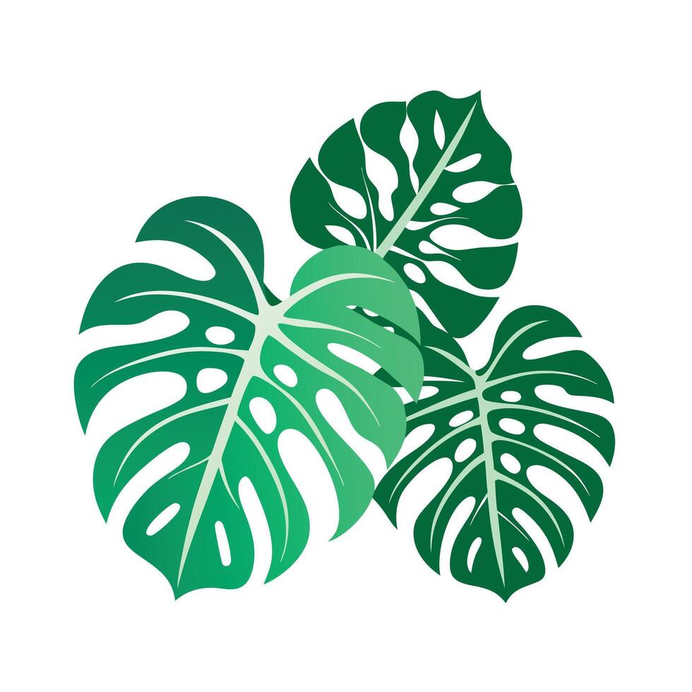 Realistic Beautiful Leaves Illustration vector