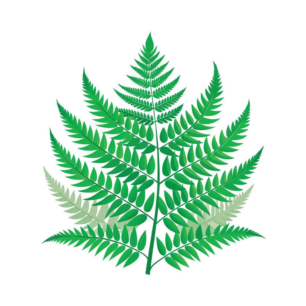 Realistic Beautiful Leaves Illustration vector