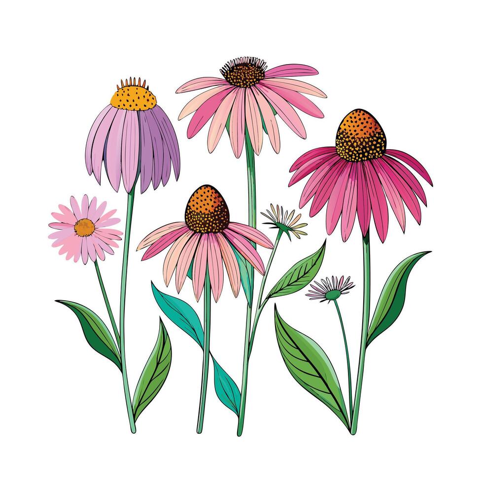 Realistic Beautiful Herbs Illustration vector