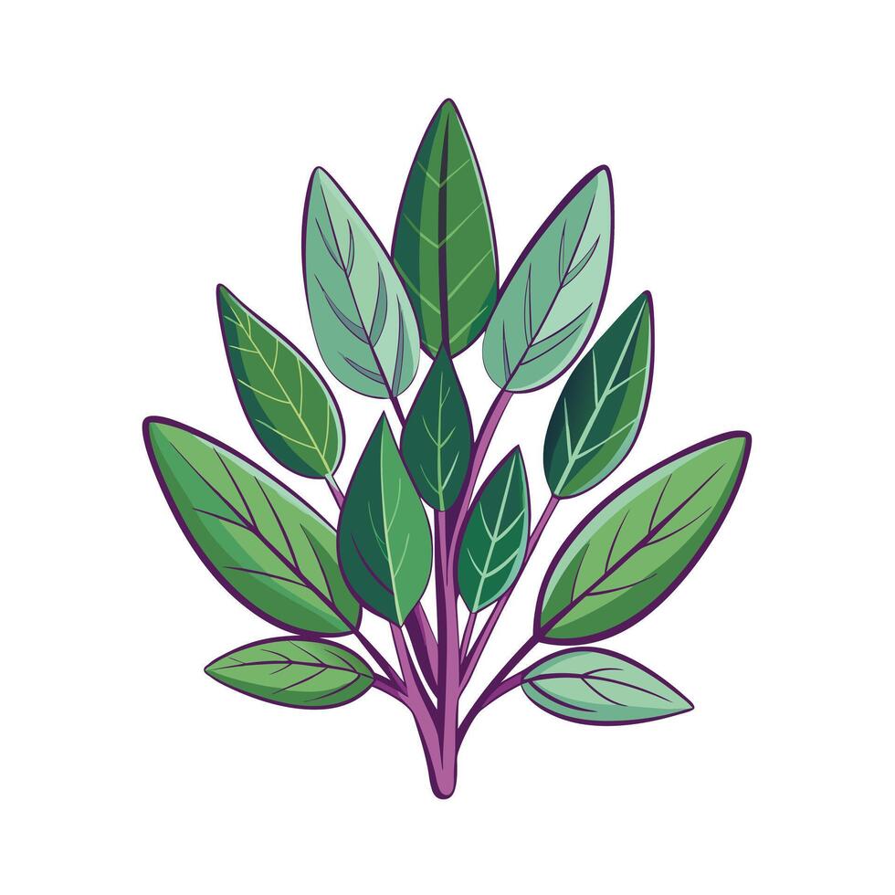 Realistic Beautiful Herbs Illustration vector