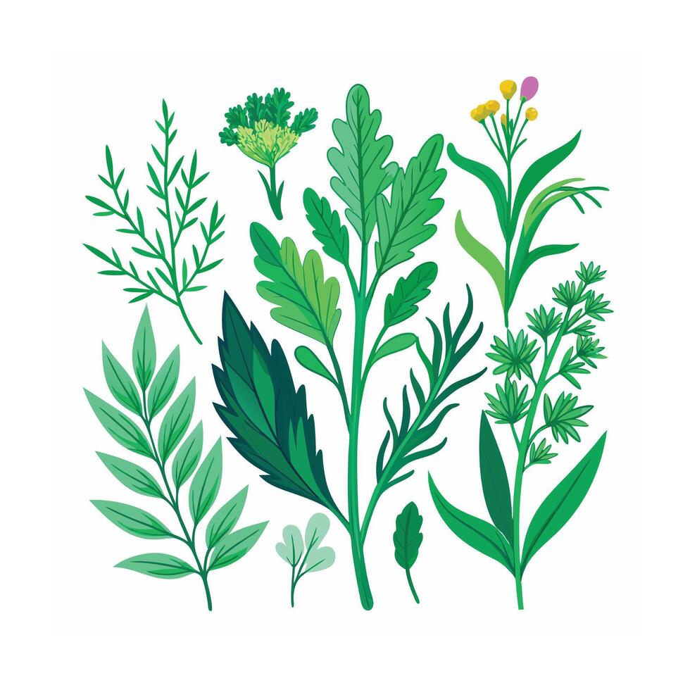 Realistic Beautiful Herbs Illustration vector