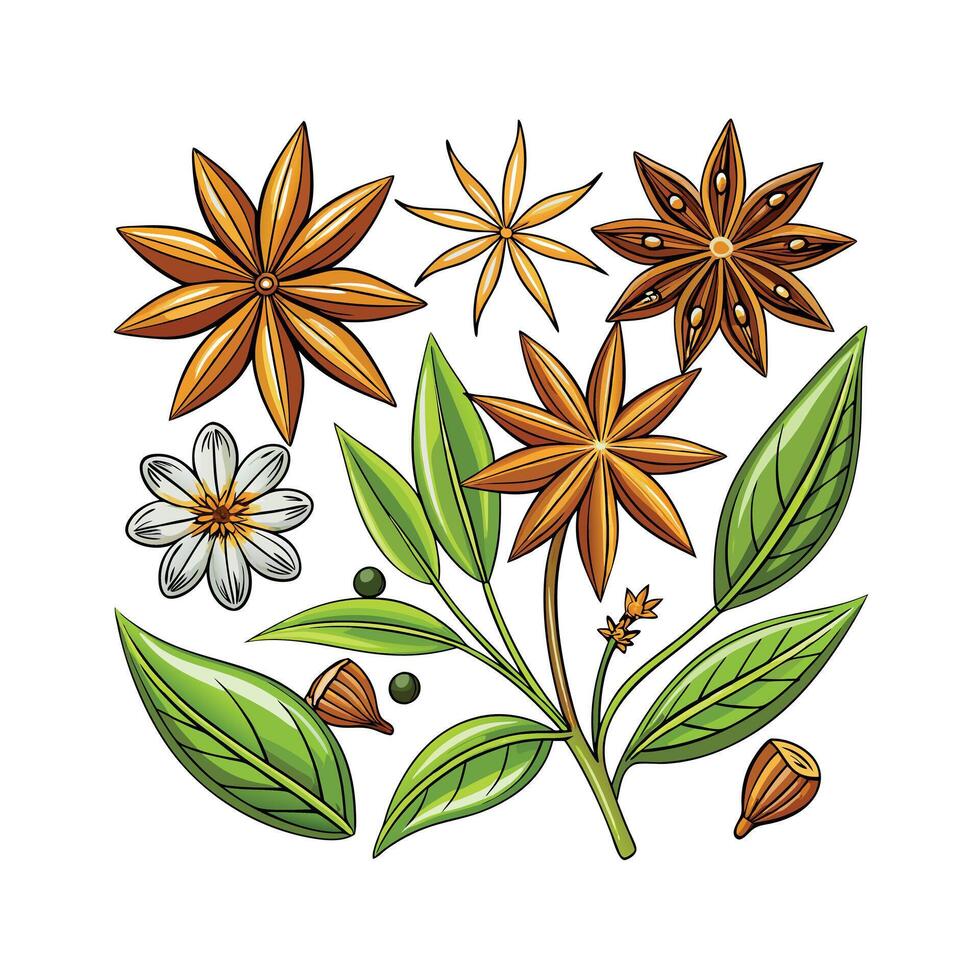 Realistic Beautiful Herbs Illustration vector