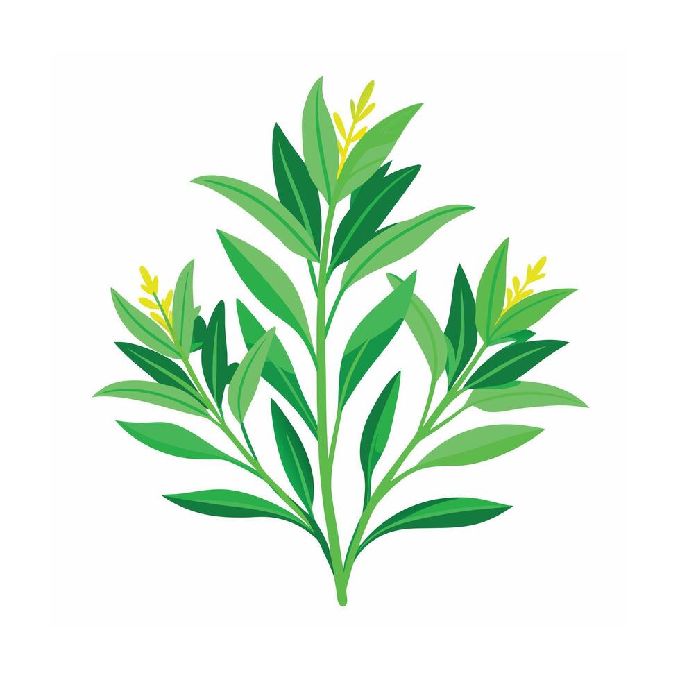 Realistic Beautiful Herbs Illustration vector