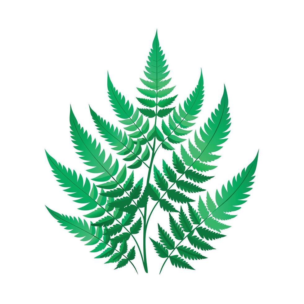 Realistic Beautiful Leaves Illustration vector