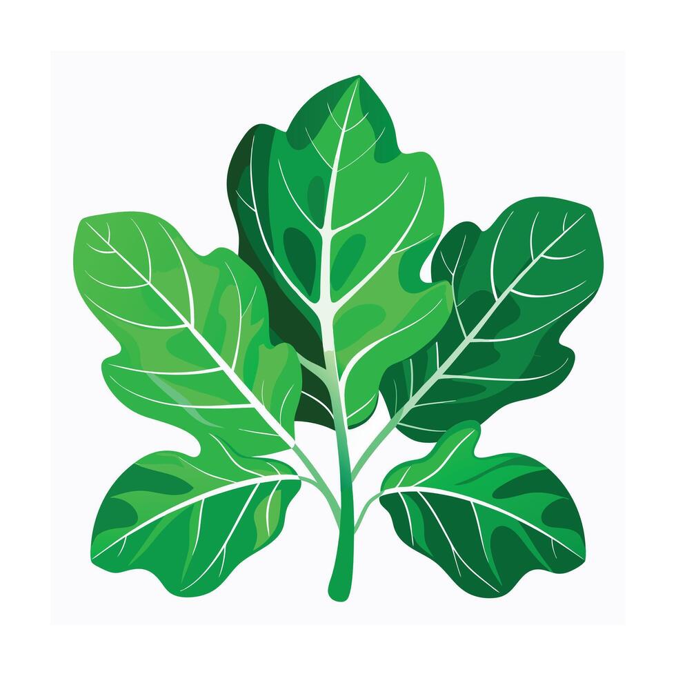 Realistic Beautiful Leaves Illustration vector