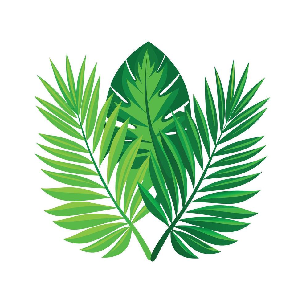 Realistic Beautiful Leaves Illustration vector