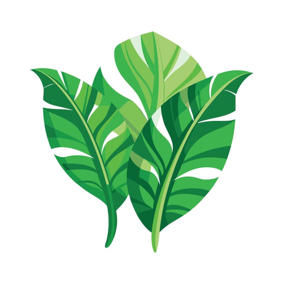 Realistic Beautiful Leaves Illustration vector