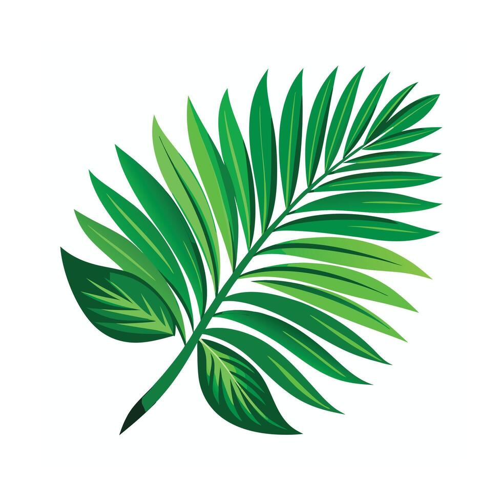 Realistic Beautiful Leaves Illustration vector
