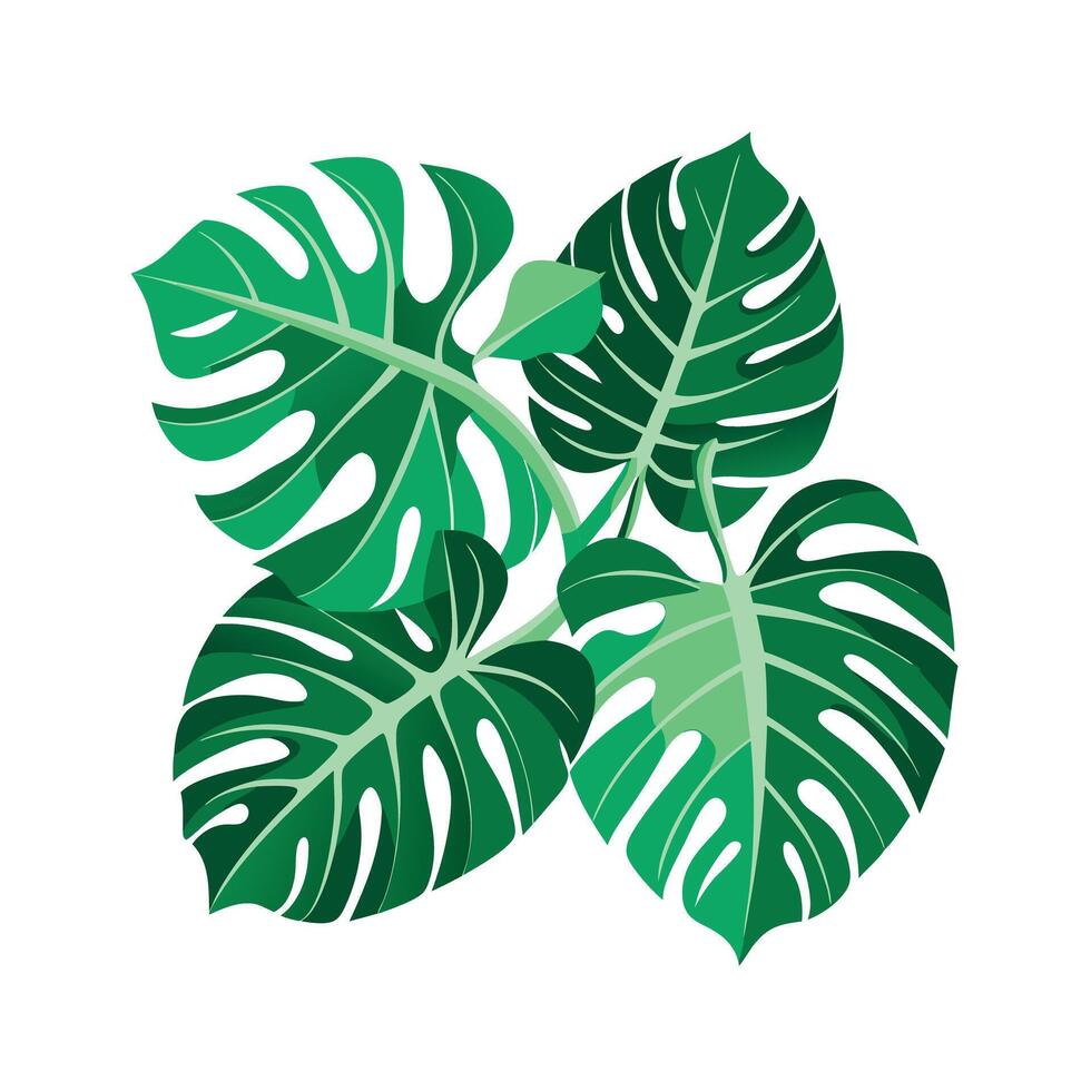 Realistic Beautiful Leaves Illustration vector
