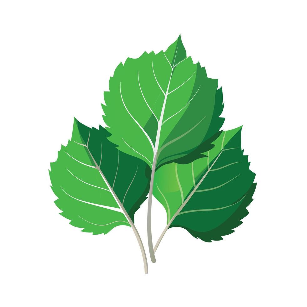 Realistic Beautiful Leaves Illustration vector