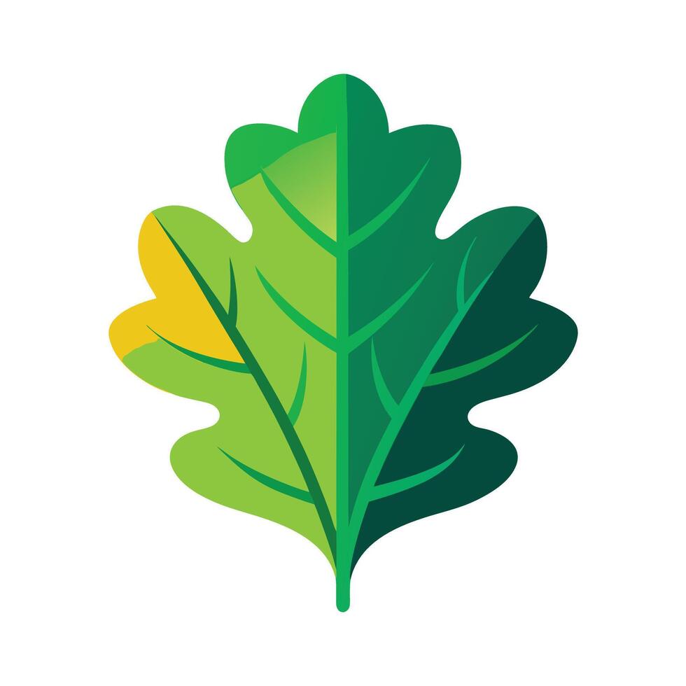 Realistic Beautiful Leaves Illustration vector