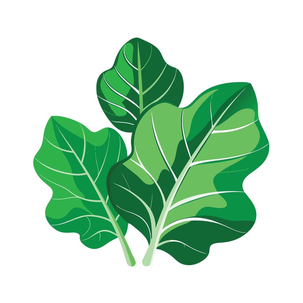Realistic Beautiful Leaves Illustration vector