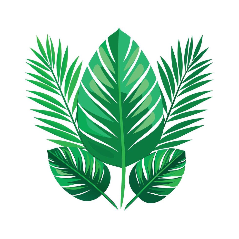 Realistic Beautiful Leaves Illustration vector