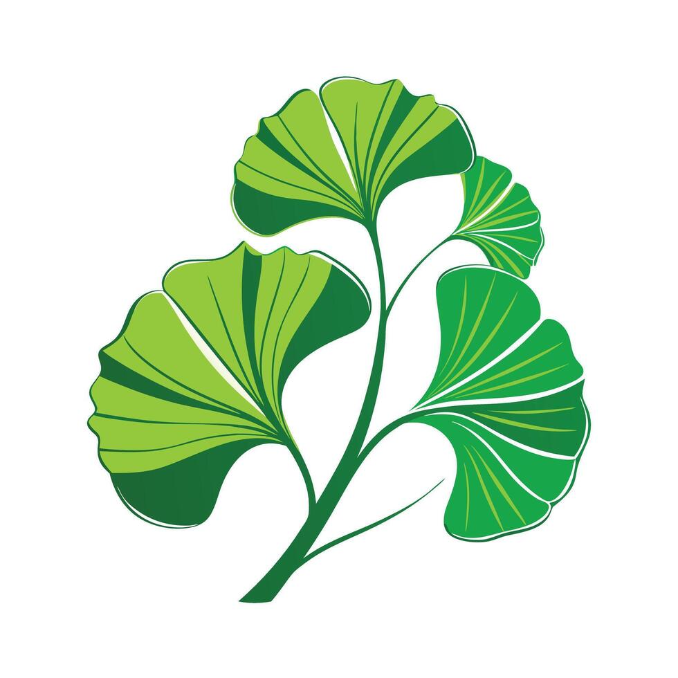 Realistic Beautiful Leaves Illustration vector