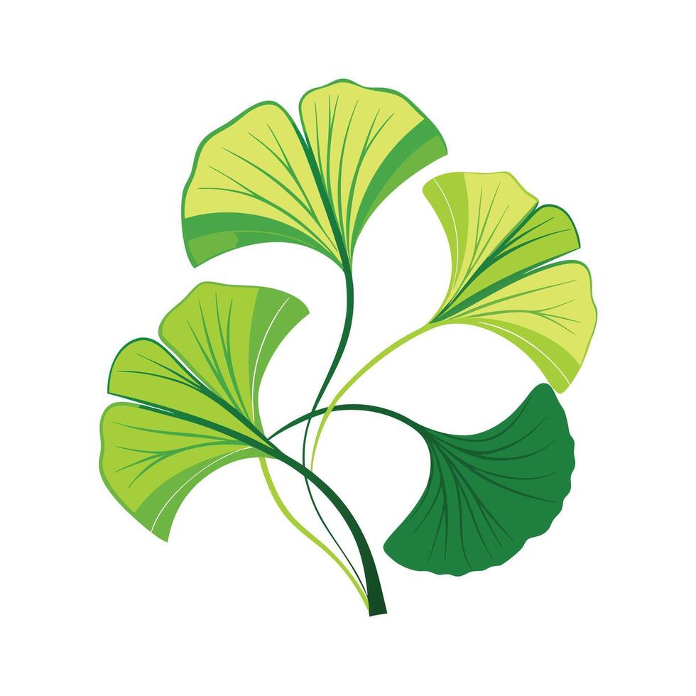 Realistic Beautiful Leaves Illustration vector