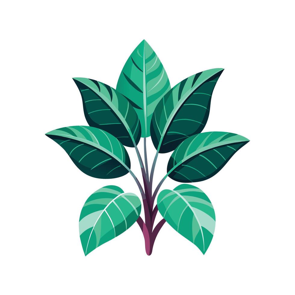 Realistic Beautiful Leaves Illustration vector