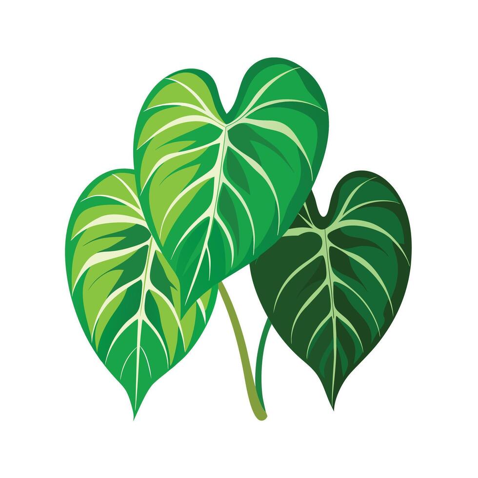Realistic Beautiful Leaves Illustration vector